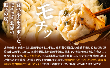 餃子 うまかポーク生餃子 60個 【3ヶ月定期便】タレ付き 大津町限定返礼品 冷凍餃子 ギョウザ《お申込み月の翌月から発送開始》大津町産豚肉使用 九州産キャベツ使用（大津町産含む）皮モチモチ 肉汁溢れ