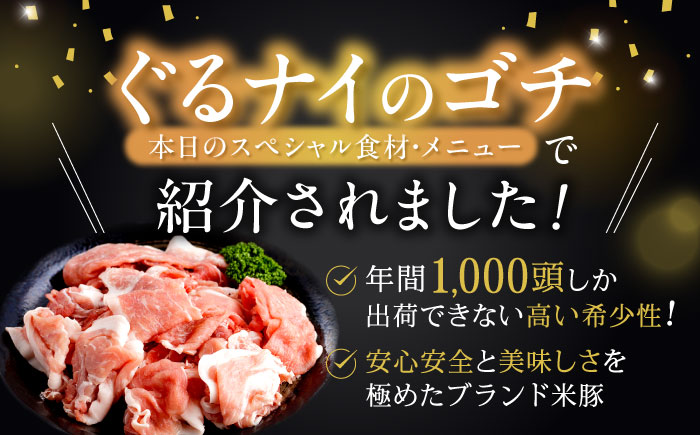 【2回定期便】諫早平野の米で育てた諫美豚プレミアム100お勧めセット3kg / 諫美豚 豚肉 肩ロース ステーキ モモ 切り落とし ハンバーグ ロースステーキ / 諫早市 / 株式会社土井農場 [AH