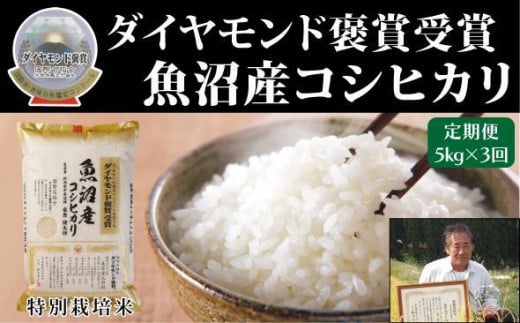 【 定期便 3ヶ月 】 米 5kg × 3回 令和7年産 新米 最高級 魚沼産 コシヒカリ 特別栽培米 ダイヤモンド褒賞受賞 | お米 おこめ 白米 精米 おすすめ 人気 新潟県 津南町
