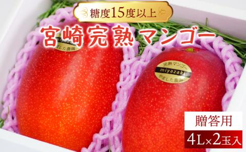 AE-CD2 ＜先行予約＞糖度15度以上！宮崎完熟マンゴー贈答用（4L×2玉入）【株式会社やました農園】