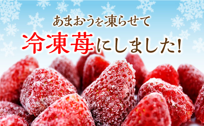 【2月より発送】福岡県産【博多冷凍あまおう】約500g×2袋 合計約1kg＜株式会社H&Futures＞那珂川市 [GDS005]