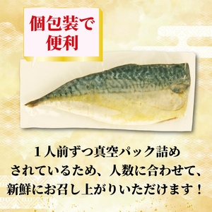 サバ 塩干し 干物 10枚 国産 無添加 サバ