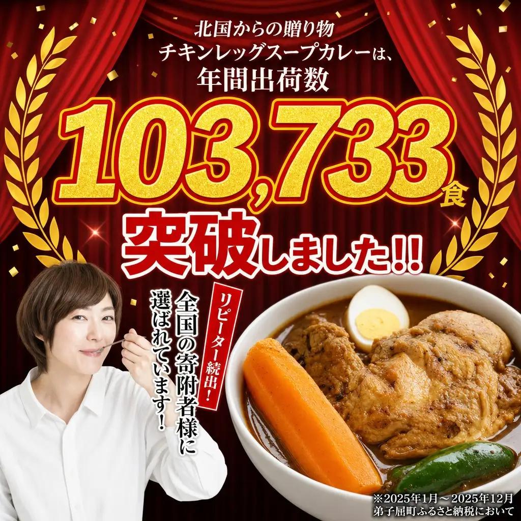 北国の丸ごとチキンレッグスープカレー 10個 レトルト 北海道 578