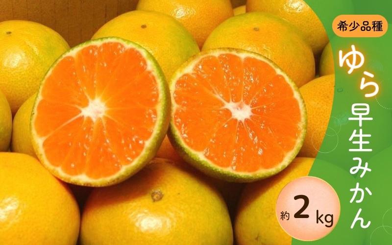 
            ＼光センサー選別／ 【先行予約】＼数量限定／ 希少品種 ご家庭用 ゆら早生みかん 約2kg サイズ混合【2025年10月上旬頃より順次発送】【nuk143C】
          