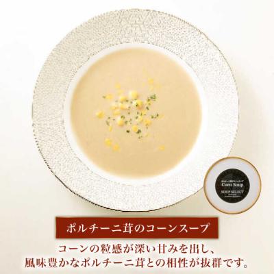 ふるさと納税 糸島市 【全6回定期便】SoupSelect2点セット 糸島市/糸島正キ[AQA072] |  | 02