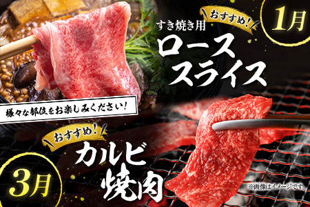 宮崎県産黒毛和牛 4か月定期便 牛肉 焼肉 ステーキ 国産【E127-25】