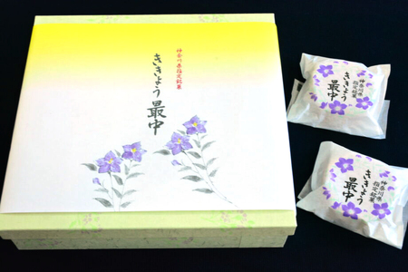 [神奈川県指定銘菓] ききょう最中18個入り｜1916年創業 老舗和菓子店4代目謹製 [0256]