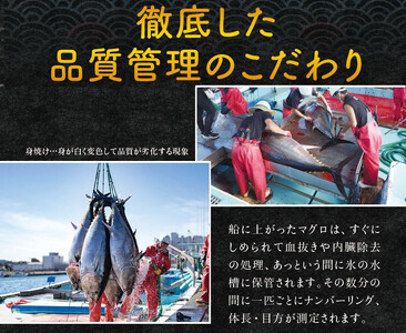本マグロ（養殖）トロ＆赤身セット　3kg［KS14］【nks112B】