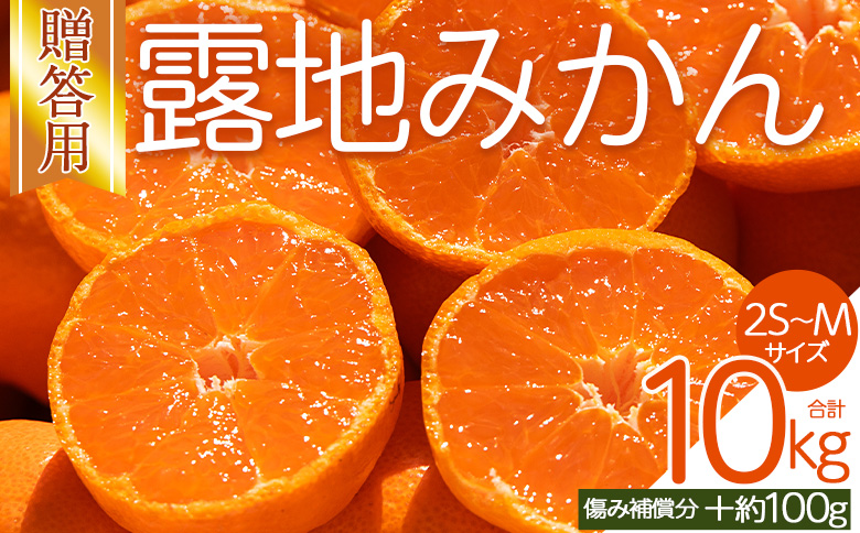 みかん 【2026年10月下旬発送】露地みかん(2S～Mサイズ) 10kg 贈答用 （傷み補償分 ＋約100g） - 果物 くだもの フルーツ 果実 柑橘 かんきつ 蜜柑 みかん om-0006