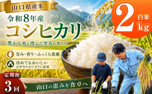 令和8年産 山口県産米 コシヒカリ 2kg 3回 定期配送 ｜ 令和8年産 コシヒカリ 山口県産米 こめ お米 コメ 白米 米 新米 ごはん 定期便 地元応援 瀬戸内 山口県 平生町 2kg