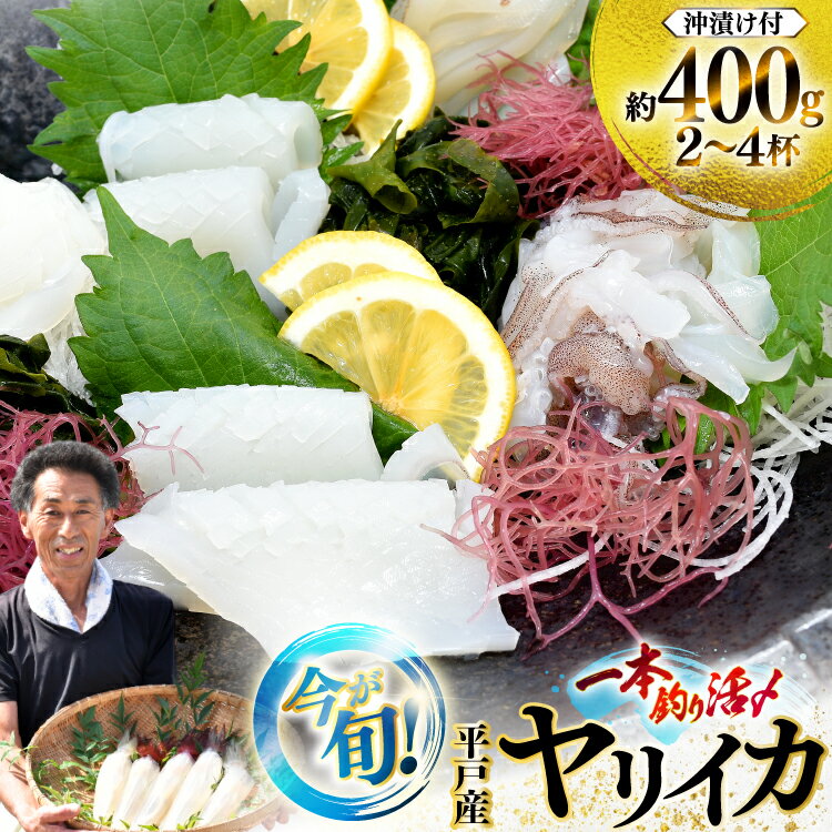 【ふるさと納税】イカ 刺身 今が旬の ヤリイカ（ 沖漬け 付）2〜4杯 約400g 先行予約 [漁師の店満月 長崎県 平戸市 hr42bgy420485] おつまみ 海鮮 漬け さしみ 新鮮 いか 冷凍