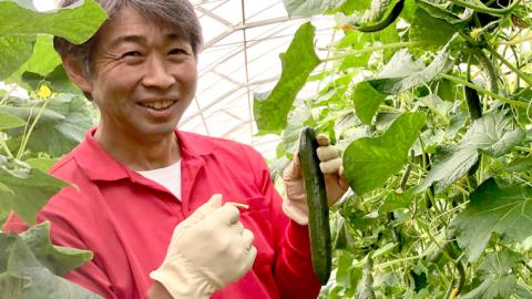 【2024年2月上旬発送開始】スーパーフルーツトマト 大箱 約2.6kg （20?35玉）糖度9度以上 ＆ 新鮮 きゅうり 約20本 とまと トマト 胡瓜 キュウリ 野菜 サラダ [BC062sa]