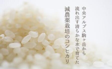 【予約受付】【令和７年米】【新米】長野県宮田村産コシヒカリ／玄米／20kg・40,000円／令和８年2月配送