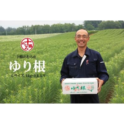 ふるさと納税 芽室町 【先行受付】【12月中旬より発送】北海道十勝芽室町 ゆりね 1kg(Lサイズ9玉入り1kg) |  | 02