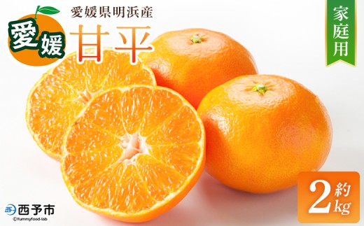 【先行予約】＜甘平 家庭用 約2kg＞ ご家庭用 かんぺい 高級 柑橘 ブランド みかん 蜜柑 訳あり 果物 くだもの フルーツ ミカン 愛媛 国産 ジューシー 明浜 特産品 笑丸 愛媛県 西予市【常温】『2027年2月上旬より順次出荷予定』