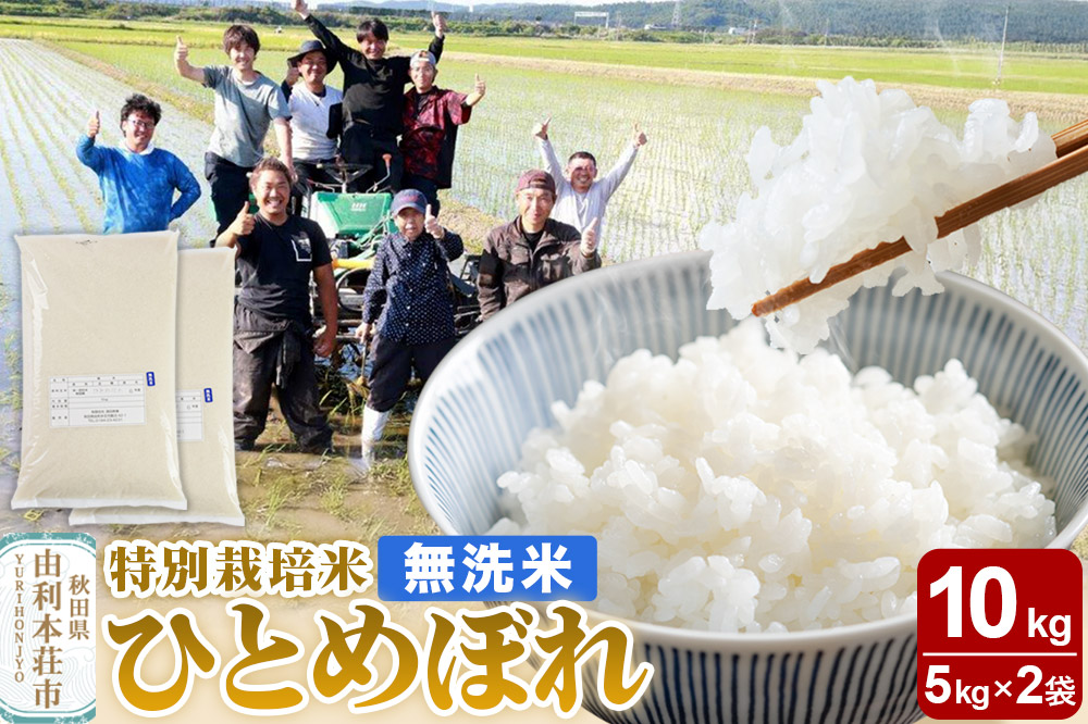 【無洗米】秋田県由利本荘市産 特別栽培米 ひとめぼれ 10kg（5kg×2袋）令和6年産