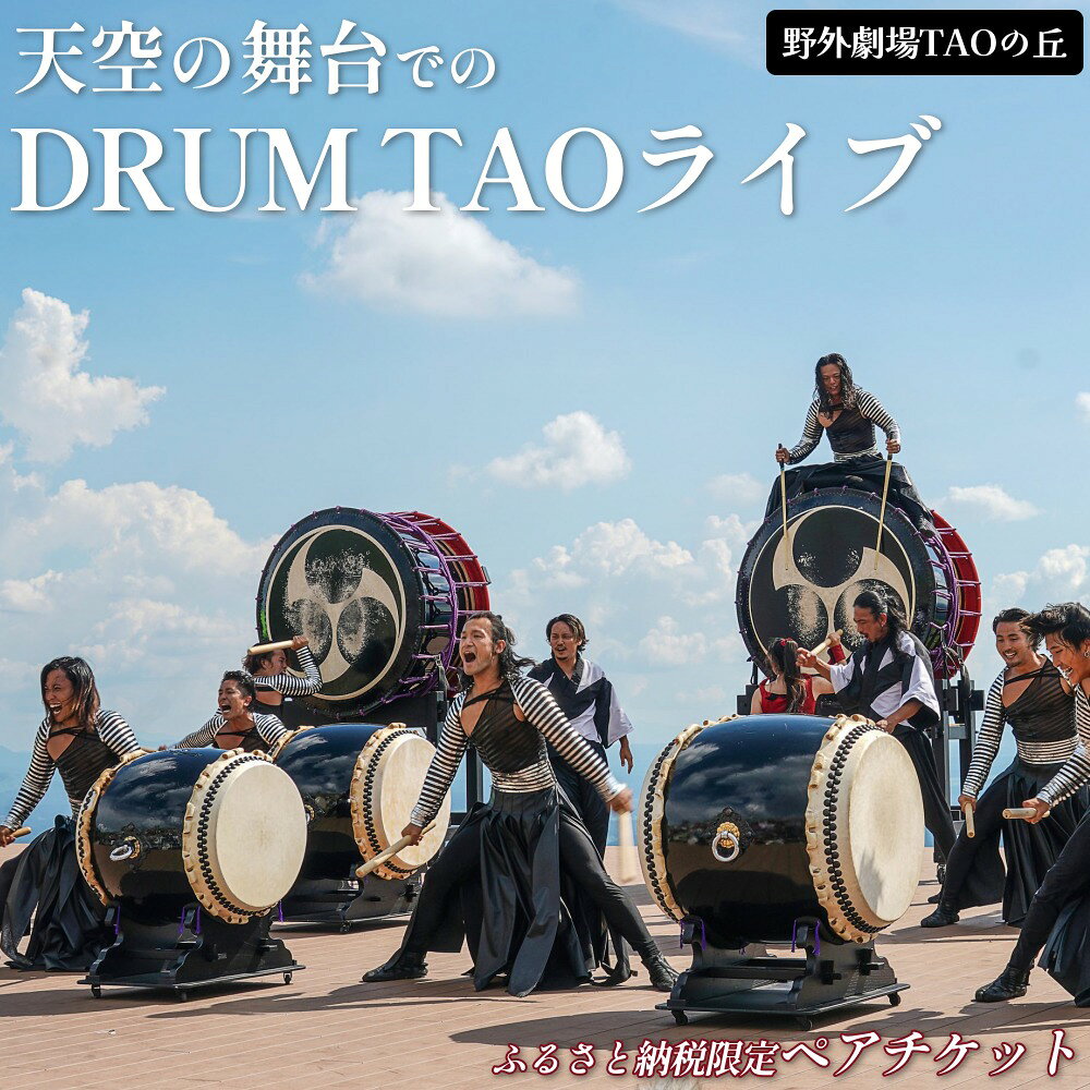 【ふるさと納税】【野外劇場TAOの丘】ふるさと納税限定 ペアチケット！！
