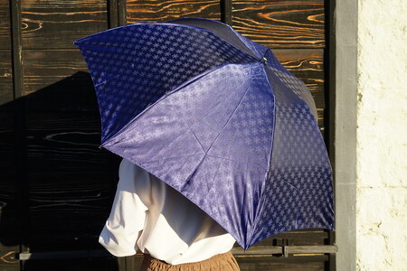雪華模様の折り畳み傘(サイズ60cm)カラー:ネイビー_BL16◇