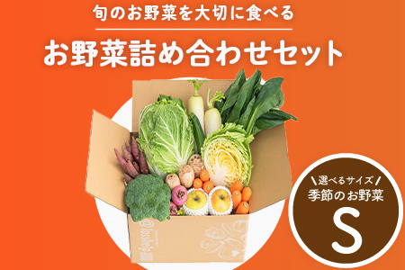多数のメディアで紹介されました！【訳あり】旬のもったいないお野菜詰め合わせセット　Sサイズ