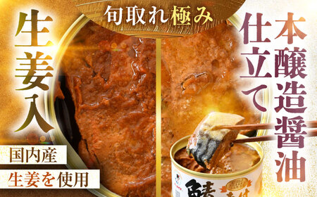 鯖缶詰 24缶 詰め合わせD 180g×24缶 本醸造醤油仕立て 生姜 味噌煮 / サバ缶 鯖缶 さば缶 鯖 サバ さば 小浜市 / 福井缶詰[BFAB060]