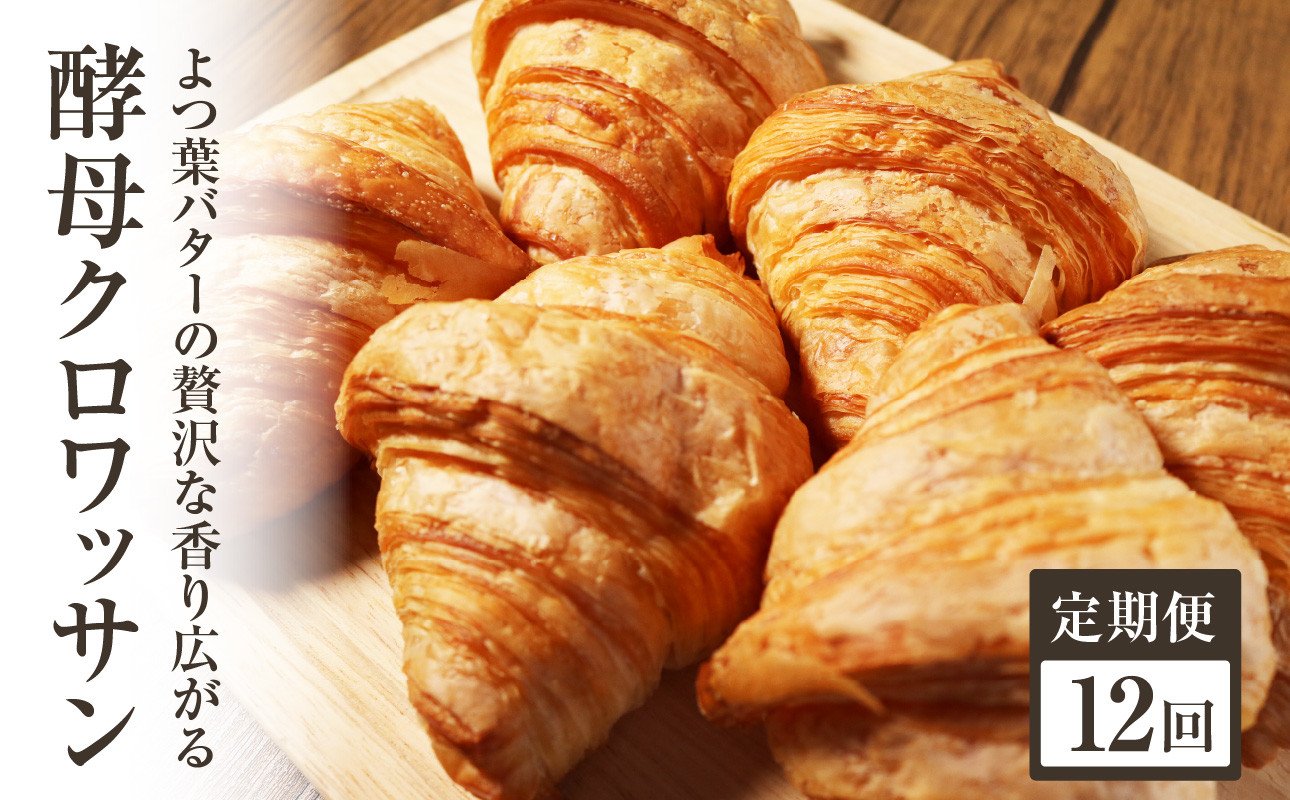 
            【全12回定期便】よつ葉バターの香り♪酵母クロワッサン１０個「Boulangerie Faveur」 定期便 12回 クロワッサン くろわっさん 酵母クロワッサン バターの香り よつ葉バター 自家製酵母 香り 朝食 【065-06-T04】
          