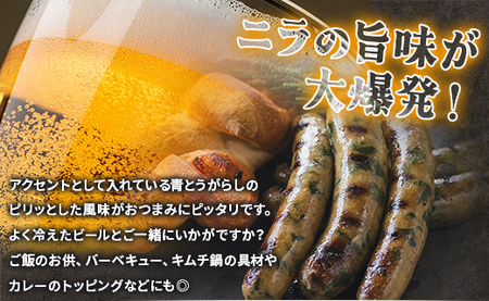 定期便 3ヵ月 生産量日本一のニラソーセージ 5本×3ヵ月 合計15本 - ウィンナー ウインナー 惣菜 加工品 にら 韮 香味野菜 やさい 葉物 国産 おつまみ おかず 鍋 ご飯のお供 バーベキュー