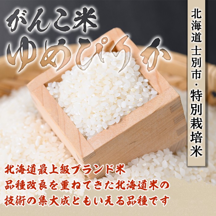 ＜令和8年産 先行予約！＞《定期便・全12回》田舎塾特別栽培米「がんこ米ゆめぴりか」(10kg×12回・計120kg) 【2026年10月中旬以降順次発送】 米 お米 白米 北海道産 北海道米 ゆめぴ
