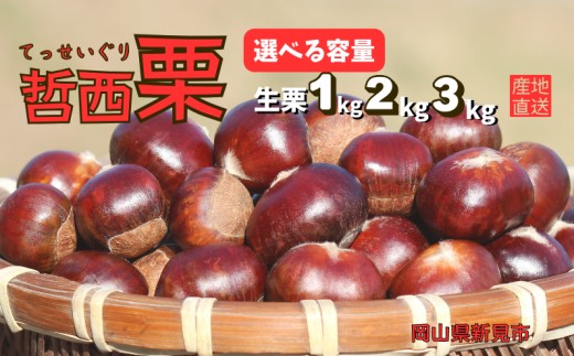 
                  容量選べる！哲西栗（生栗）【先行予約 2026年10月から順次発送】
                