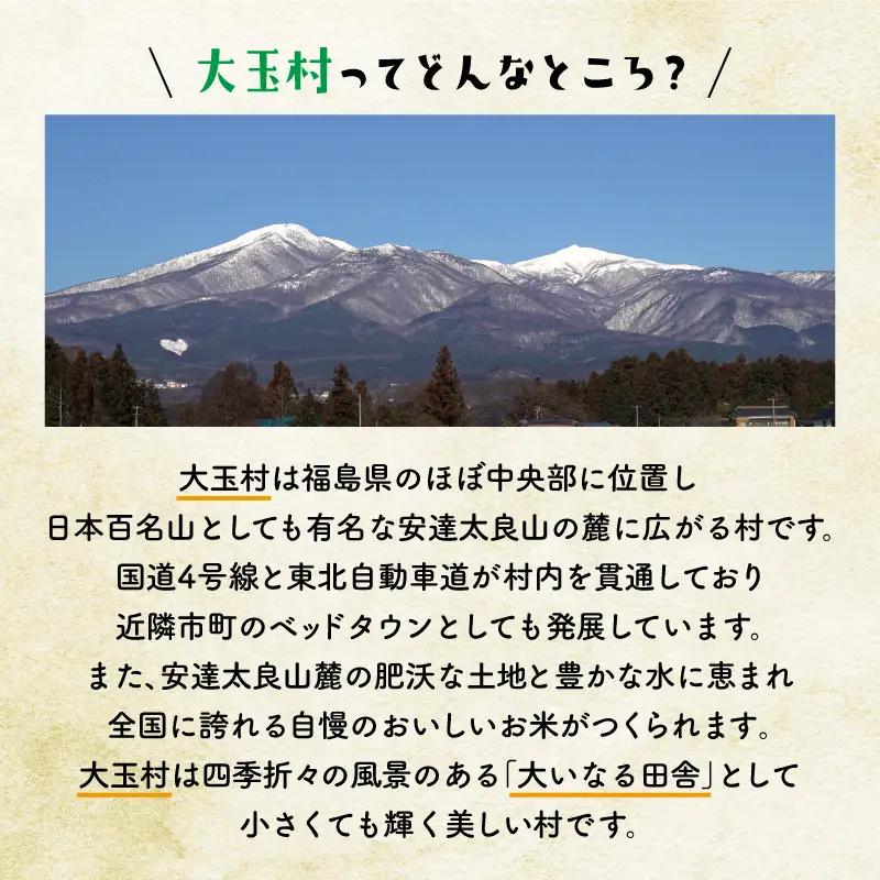 【令和8年分 先行予約】 りんご 約5kg 福島県 大玉村産 林檎 リンゴ サンふじ フルーツ