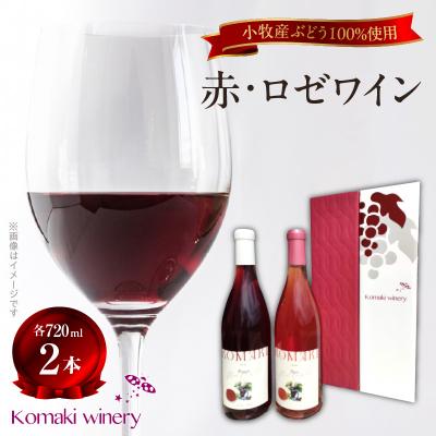 ふるさと納税 小牧市 小牧ワイナリ— 赤・ロゼワイン2本セット(小牧産ぶどう100%使用) [026A11]