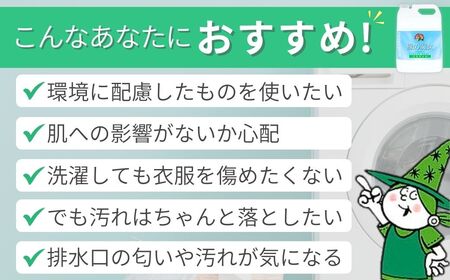 ＜毎月定期便(全12回)＞環境配慮型洗剤緑の魔女ランドリー5L×1本 | 茨城県 龍ケ崎市 洗剤 液体 液体洗剤 環境配慮 エコ やさしい 洗濯 洗濯洗剤 衣類 汚れ よごれ 油汚れ 皮脂 皮脂汚れ 