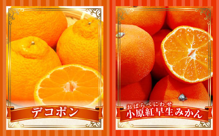 季節の恵み4回定期便H_mk165-t046