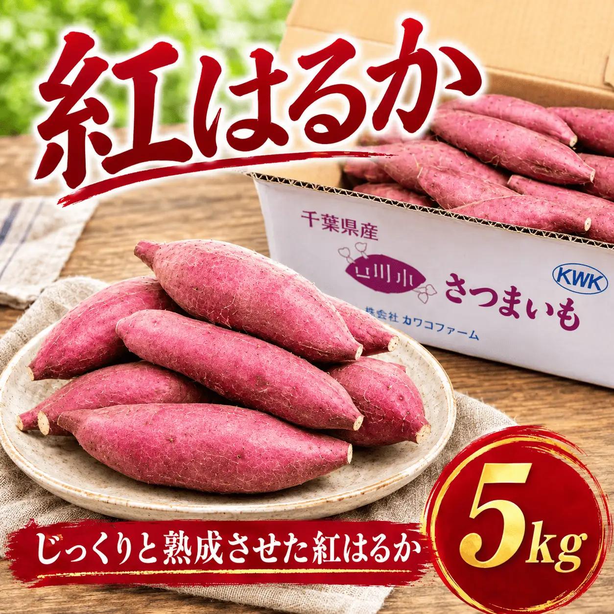紅はるか 5kg さつまいも【紅はるか】訳あり KWK001