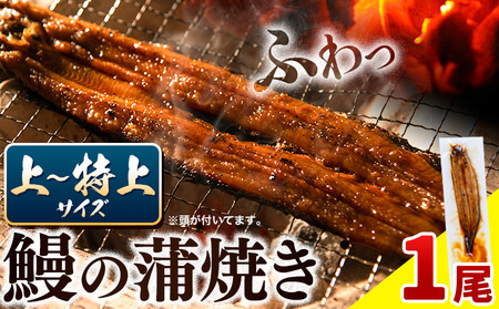 鰻の蒲焼き お試し1尾