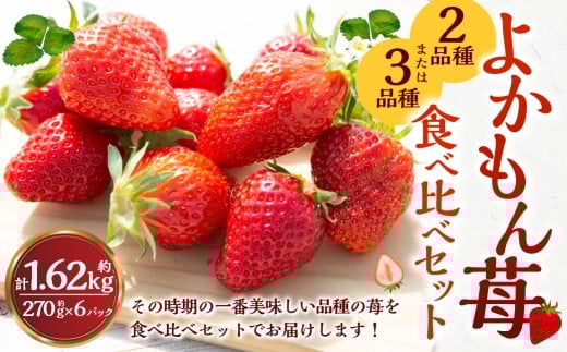 【2026年4月発送】 よかもんいちご 2品または3品種 食べ比べセット 6パック入り （計約1.62kg） よかもん苺 苺 いちご イチゴ 果物 果実 フルーツ 中サイズ 九州 福岡県 うきは市 冷蔵
