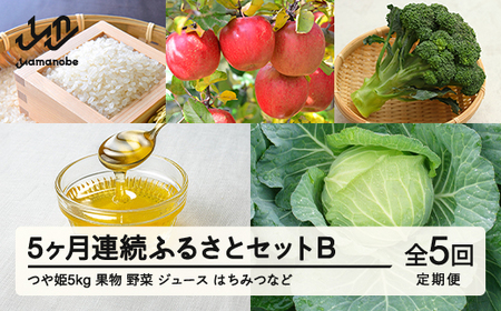 山形県産 《5カ月連続》 産直 やまのべ温泉市 ふるさとセットB F20A-570