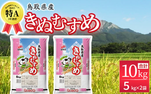 【3月発送】鳥取県産 きぬむすめ （５kg×２袋） パールライス 精米 お米 米 こめ コメ 白米 ブランド おいしい 健康 産地直送 米5キロ きぬむすめ