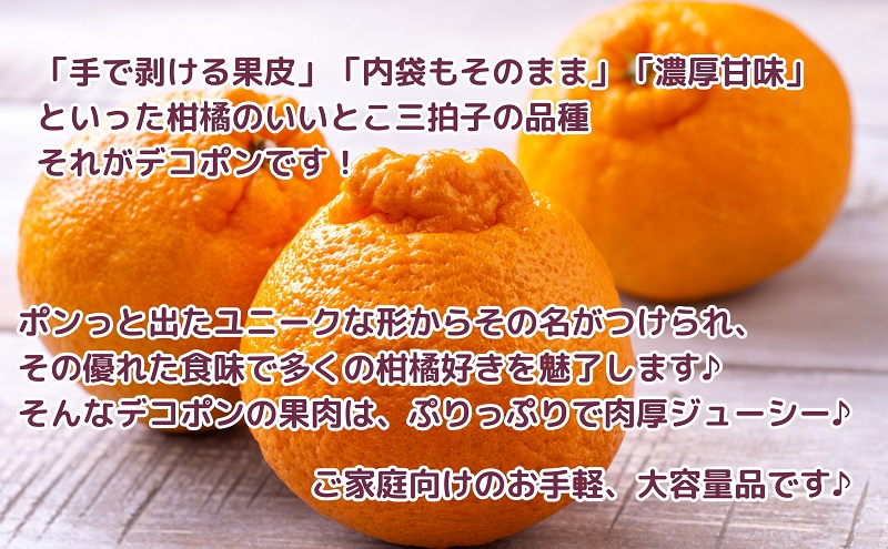 ご家庭用！「デコポン」約5kg フルーツ デザート 甘い 果物