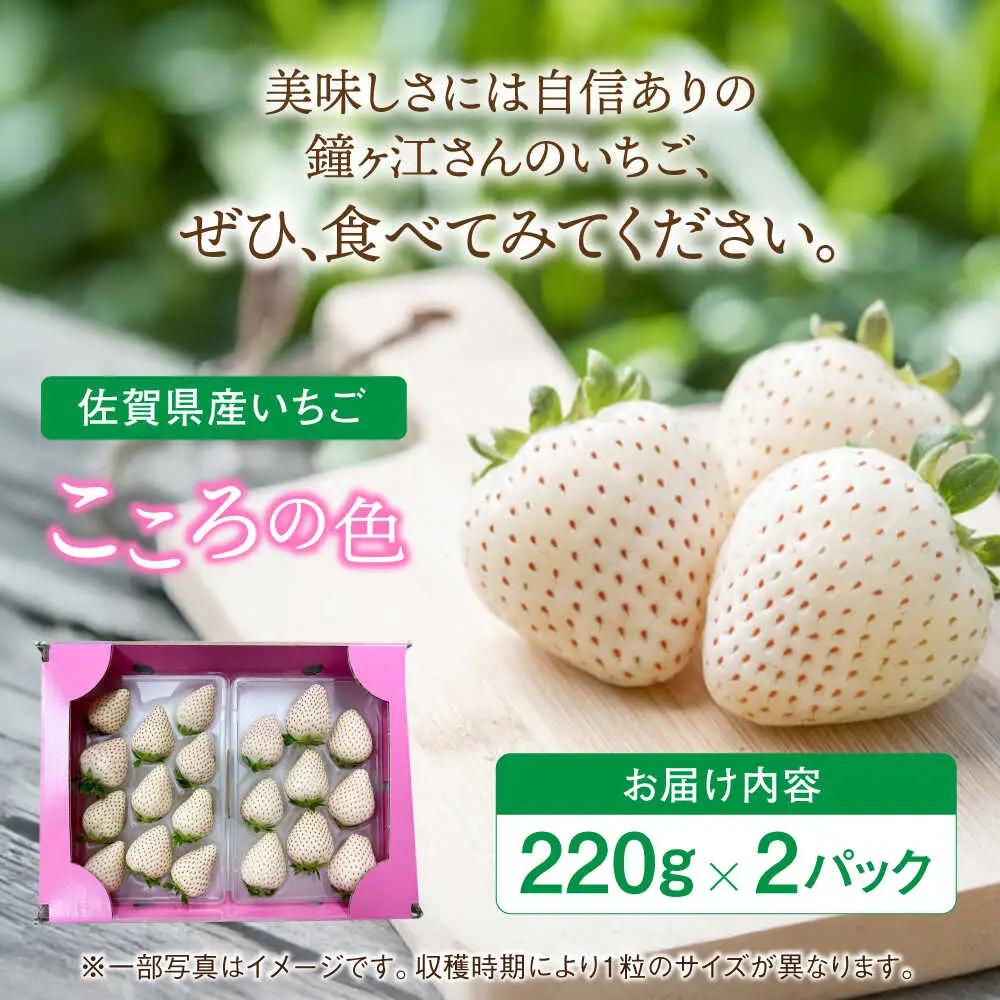 【2027年2月より順次発送】佐賀県産白いちご 新品種 こころの色 220g×2パック / 佐賀県 / 鐘ヶ江農園 [41ASBK003]