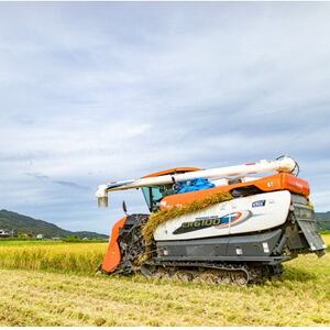 令和7年産米「京の豆っこ米」低農薬コシヒカリ　精米10kg 農家直送　京都与謝野町【伊達農園】【1711767】