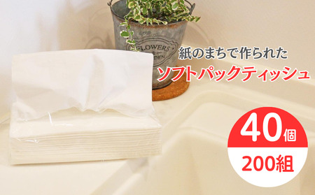 ティッシュペーパー ティッシュ ソフトパック ダブル 400枚 200組 40パック 再生紙 ティシュー エコ シンプル 日用品 消耗品 備蓄 防災 送料無料 愛媛県 四国中央市