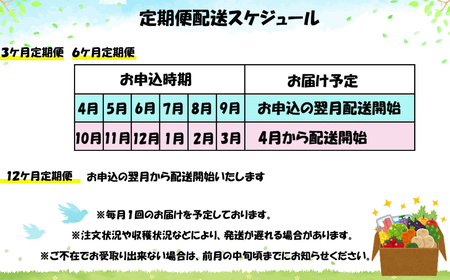 【定期便3ヶ月】イーハトーヴ野菜A お試しセット6品～ 【293】