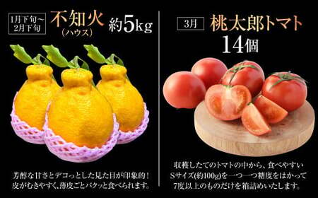 【年6回定期便】くまもとぐるっと名産品満喫定期便① 不知火 桃太郎トマト 馬刺し（上赤身・パストラミ・フタエゴベーコン） くまもとあか牛 サーロイン 梨 クルマエビ 特産品 名産品 しらぬい くだもの