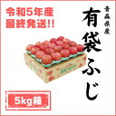 【ふるさと納税】青森県産 有袋ふじ 5キロ箱 (14～20玉) 津軽産直組合から冷蔵便でお届け♪【配送不可地域：離島】【1288007】