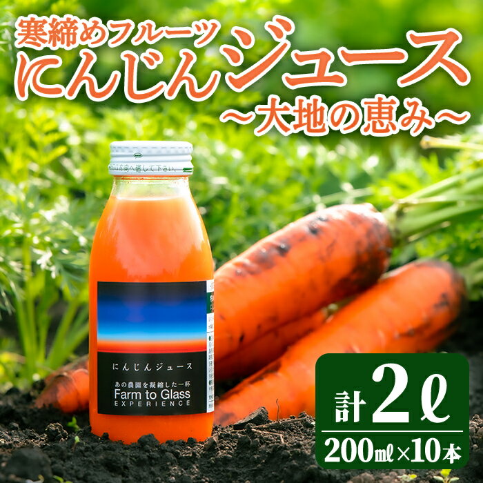 【ふるさと納税】寒締めフルーツ にんじんジュース ～大地の恵み～ 200ml 10本入り ニンジン にんじん 有機野菜 有機 オーガニック JAS ジュース 常温 常温保存 贈答 ギフト 詰め合わせ 【株式会社レインボーフューチャー】【ho1605】