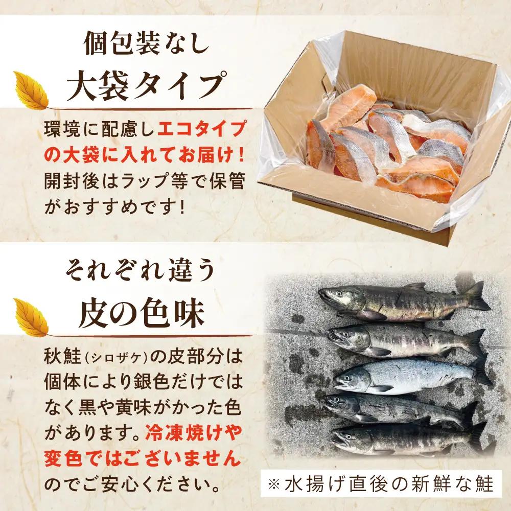 【訳あり】秋鮭ドンっ！無塩 秋鮭 切り身 1.5kg【KN000PB06】北海道