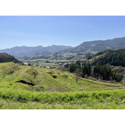 ふるさと納税 由布市 木の鏡餅(大) |  | 03