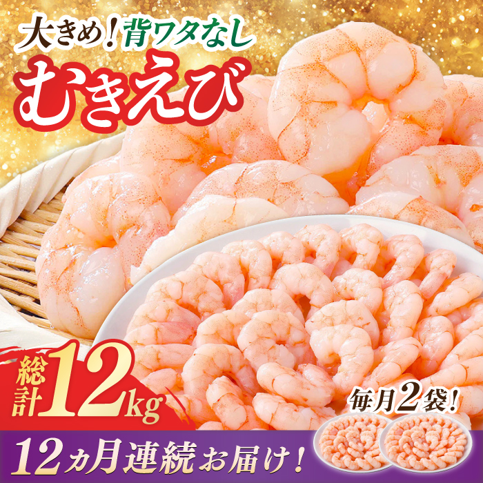 【全12回定期便】背ワタ除去済み！ぷりぷりむきえび 計12kg（500g×2袋×12回）吉野ヶ里町/EBI研究所 [FDE004]