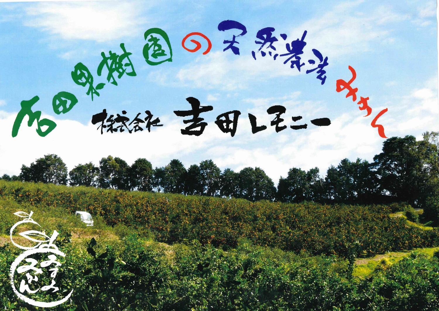 先行予約 愛紅小町 あいかちゃん 約3kg 25〜35玉【吉田レモニー 】【2026年11月上旬から2027年1月下旬発送予定】温州みかん