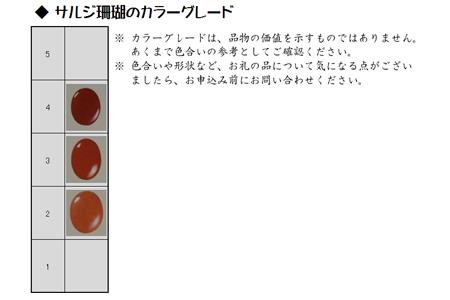 地中海珊瑚グラデーションネックレス（201118-8）